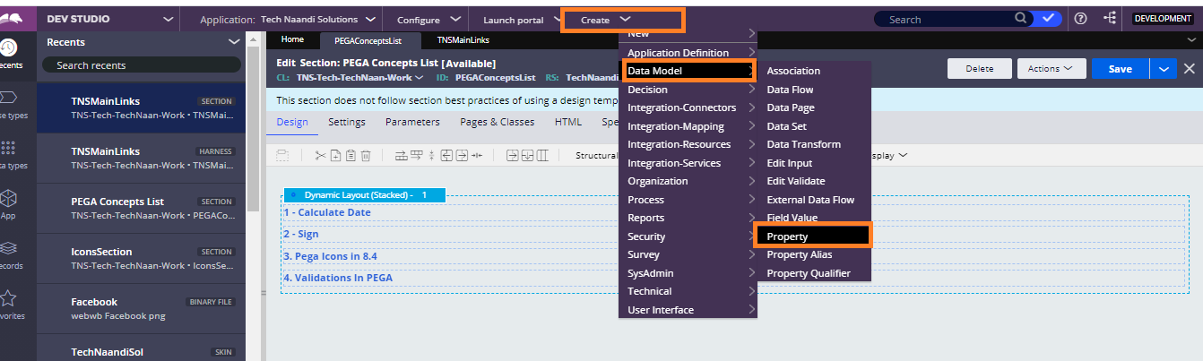 Passport Number Validation In Pega by Tech Naandi Solutions 1