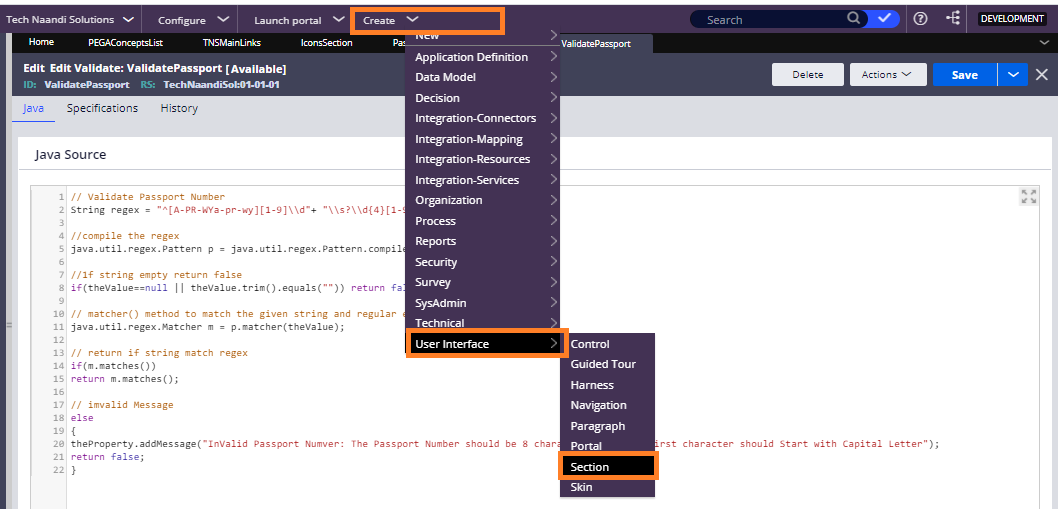 Passport Number Validation In Pega by Tech Naandi Solutions 6